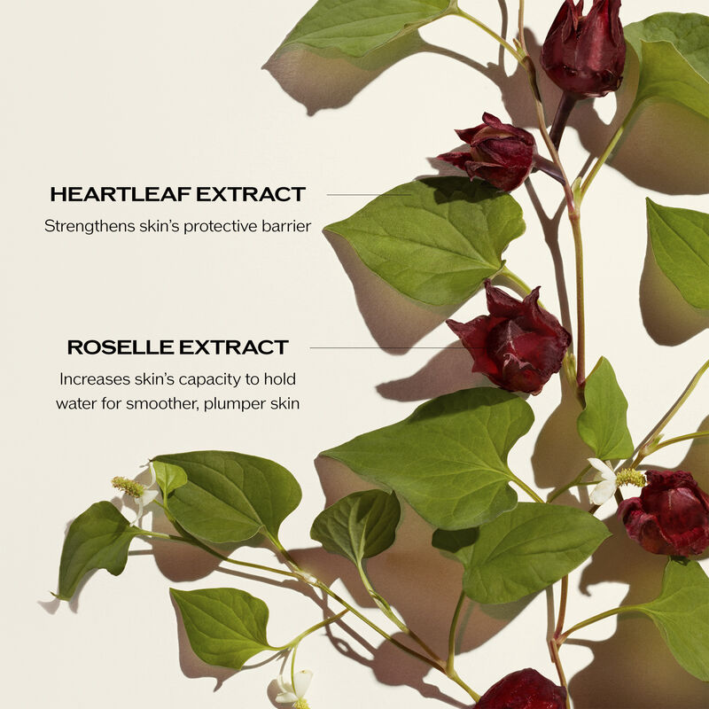 37-ultimune-radiance-resilience-ritual-set-235-value--4.jpg Ultimune Radiance & Resilience Ritual Set ($235 Value)